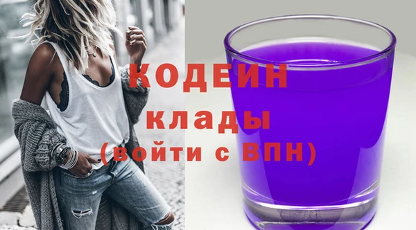 apvp Богданович